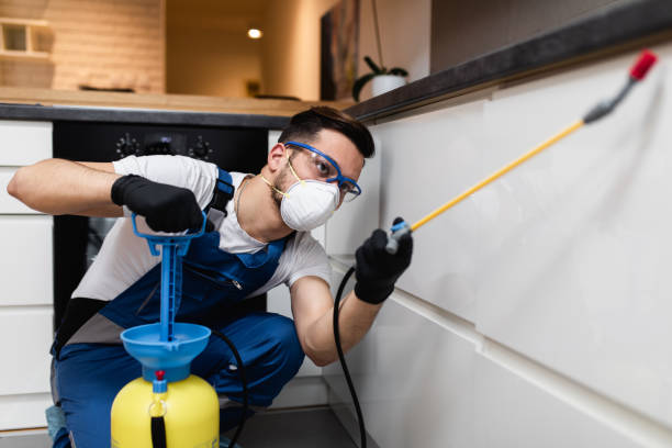 Best Pest Control Near Me  in Fountain Hill, PA