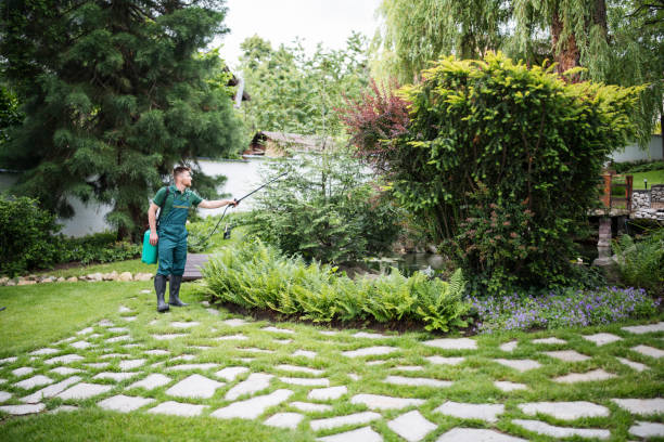 Best Commercial Pest Control Services  in Fountain Hill, PA