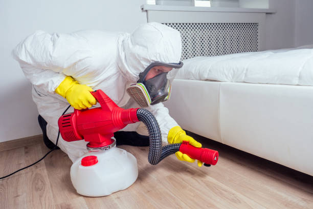 Best Wasp Removal Services  in Fountain Hill, PA