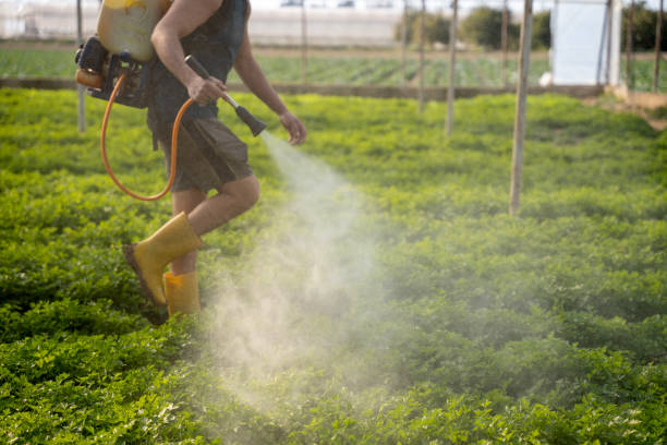 Best Pest Removal Services  in Fountain Hill, PA