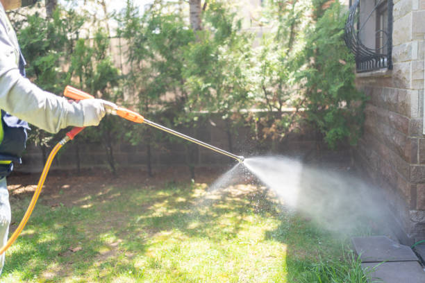 Best Pest Control Treatment  in Fountain Hill, PA
