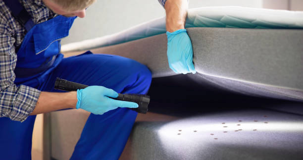 Best Mosquito Control Services  in Fountain Hill, PA