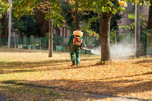 Best Termite Control Services  in Fountain Hill, PA