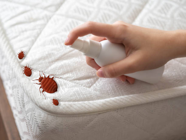 Best Pest Inspection Near Me  in Fountain Hill, PA