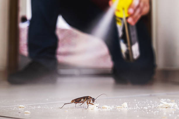 Best Best Pest Control Companies  in Fountain Hill, PA