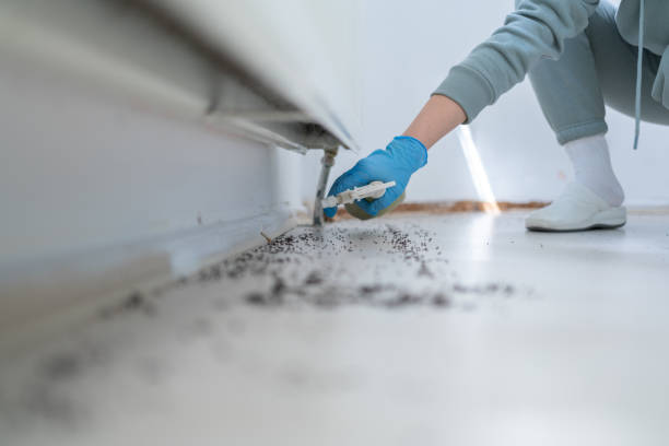 Best Residential Pest Control  in Fountain Hill, PA