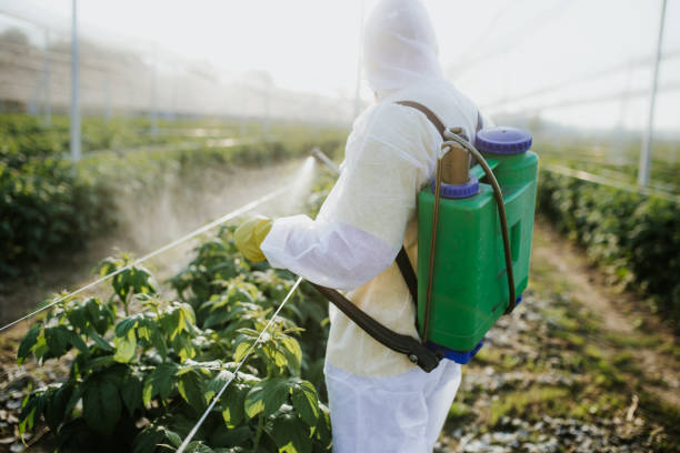 Insect Control in Fountain Hill, PA